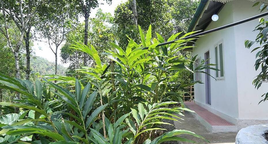 Koduveli Cottage, Idukki 1